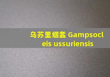 乌苏里蝈螽 Gampsocleis ussuriensis